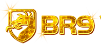 BR9 LOGO